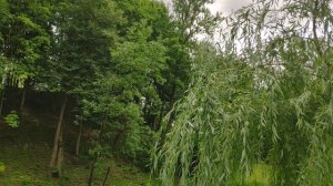 По городскому парку в Витебске