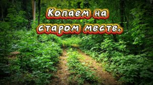Вышли в лес покопать.