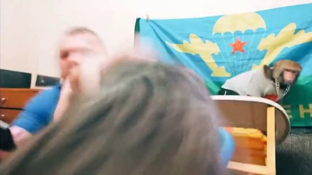 мужик кот и обезьянка уронила телефон смотреть онлайн