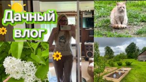 ЧТО У НАС НА ДАЧЕ . ДАЧНЫЙ ВЛОГ