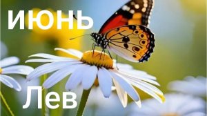 Таро расклад для Львов на июнь 2026 года