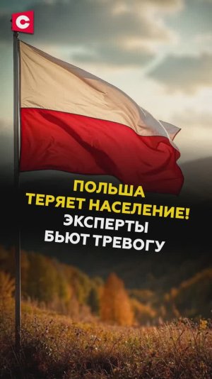 Польша теряет население! Эксперты бьют тревогу #польша #ес #кризис #новости #ств