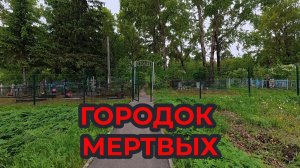 «Жизнь Пенсионера» Перед Троицей и в Троицу на Кладбище