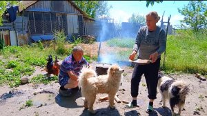 Давление ПОДНЯЛОСЬ! Раздели ПО Среди ДОРОГИ.