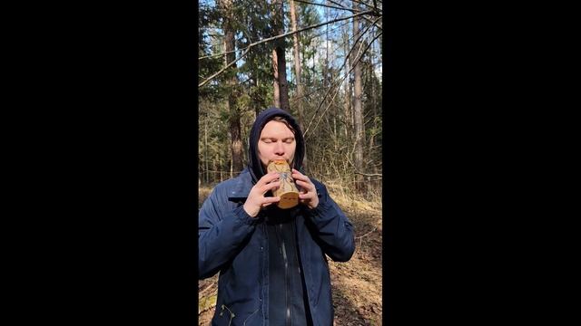 Фракталика
