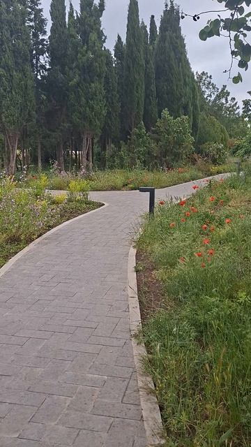 Новая зона в Парке Победы Севастополя смотреть онлайн