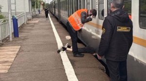 💬Трагедия в Подмосковье: погиб 15-летний зацепер

Юный зацепер сорвался с вагона и оказался зажатым