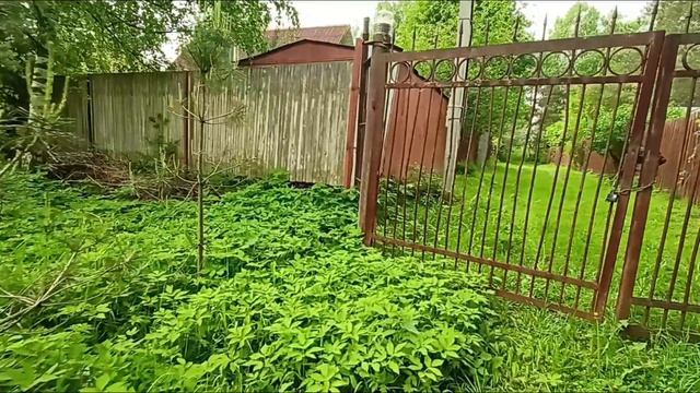 VID20260528090521~2 смотреть онлайн