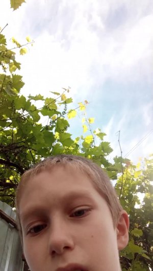 зоброшка