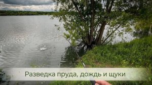 Спиннинг. Разведка пруда, дождь и щуки