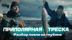 Приполярная треска - Разбор ловли на глубине