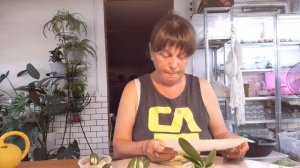 Моя Жизнь в Деревне💃🌺 Работа Ночью Дня не Хватило , Поболтаем ⁉️