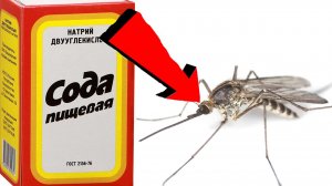 Как избавиться от комаров За 3 Секунды!