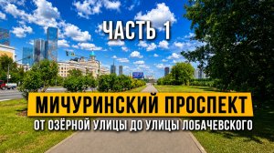 Мичуринский проспект. Часть 1. От Озёрной улицы до улицы Лобачевского