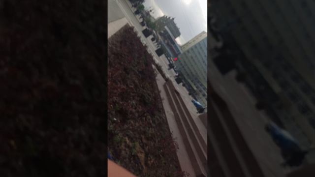 Я гулял в центре города