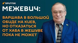 Межевич: Варшава в большой обиде на Киев, но отказаться от хаба в Жешуве пока не может