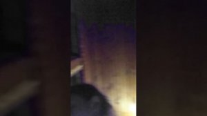 VID_20260314_221908~2.mp4