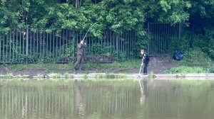 Толстолобик