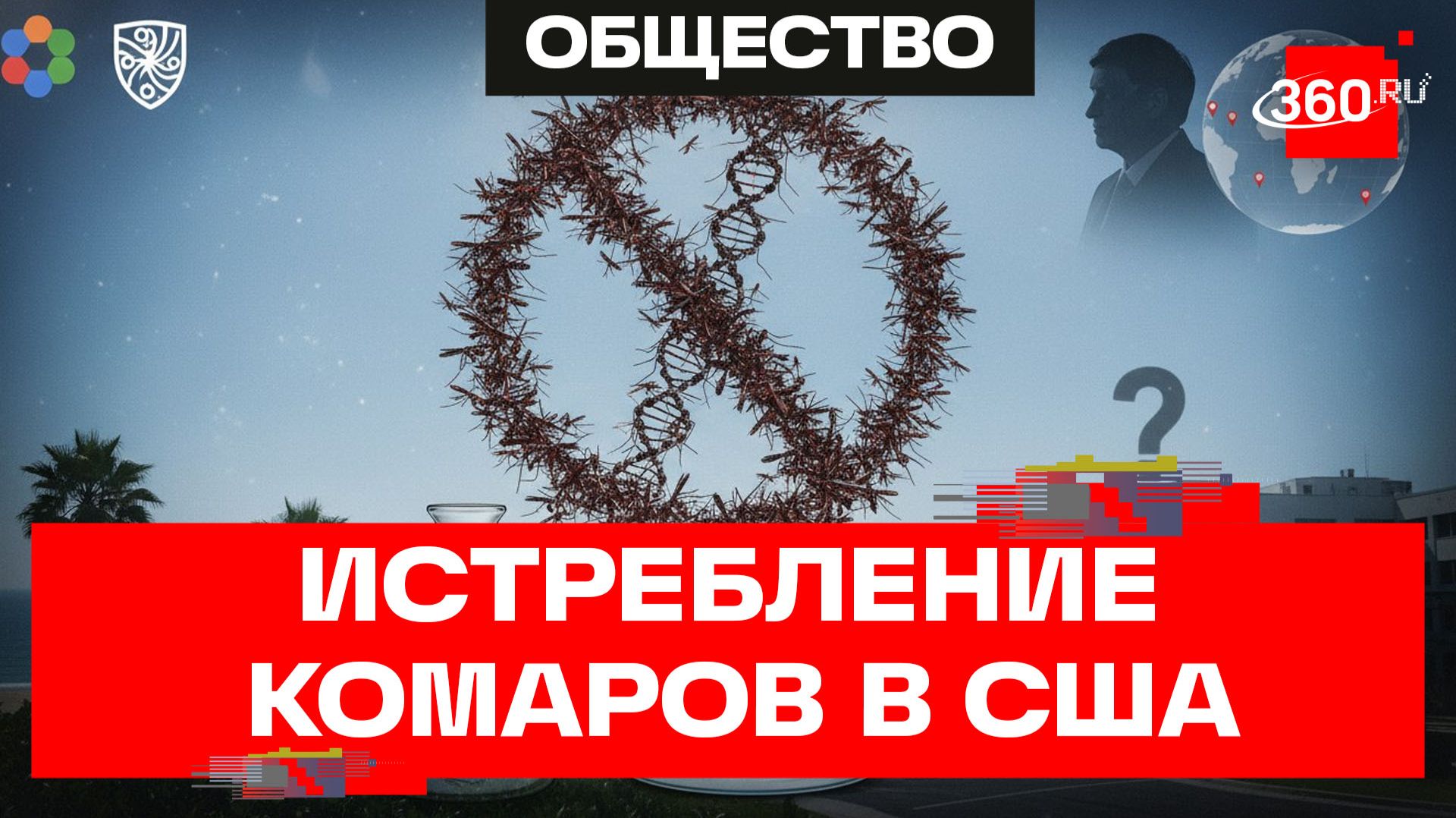 Комары для Калифорнии: 60 млн особей, чтобы ни осталось ни одной
