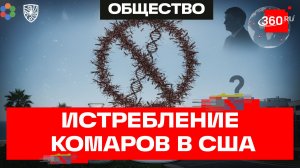 Комары для Калифорнии: 60 млн особей, чтобы ни осталось ни одной