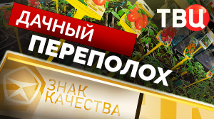 Дачный переполох. Знак качества