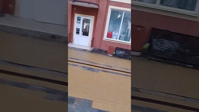 Гуляем по Зеленоградску и ищем что-нибудь интересное посмотреть, купить на память и вкусное поесть.