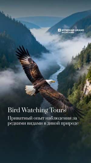 Гонио — одна из ключевых точек миграции птиц 🦅