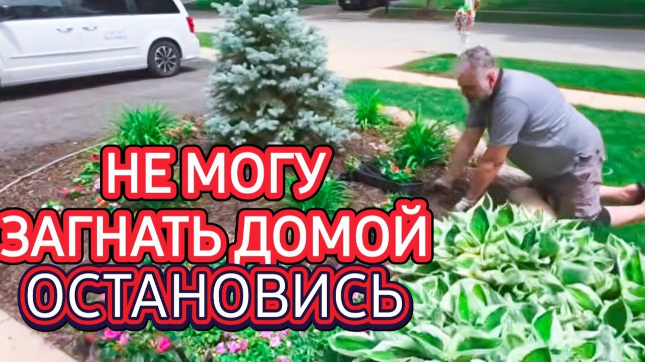 Лора Винтаж. ❗️Это Был просто Шок!Не Могла его Загнать!