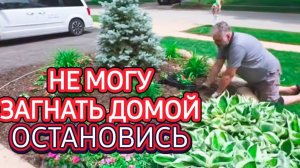 Лора Винтаж. ❗️Это Был просто Шок!Не Могла его Загнать!