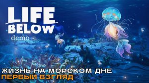 Life Below # Жизнь на морском дне (первый взгляд).