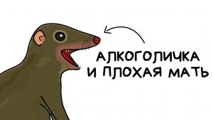 Тупайя (и это полный отстой)