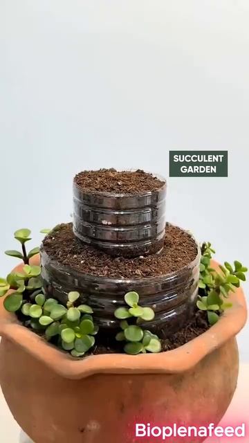 Хорошая идея для посадки растений 🌿