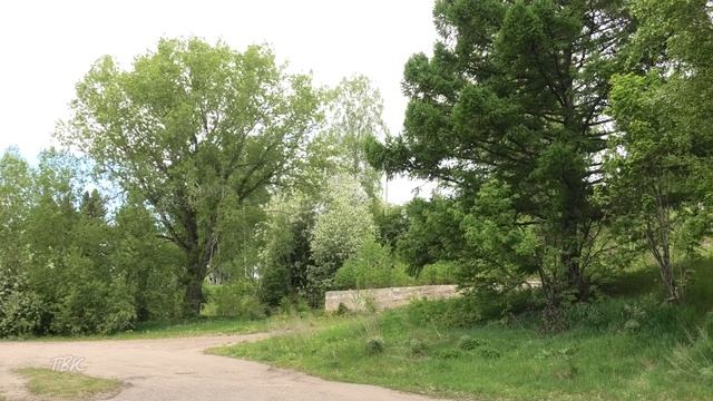Антициклон принесет в Курскую область сухую и теплую погоду 18 июля