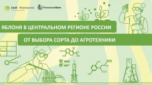 Яблоня в Центральном регионе России: от выбора сорта до агротехники