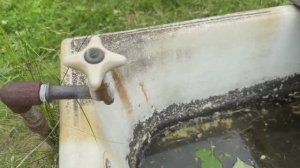 ЗАЩИТА ОТ КЛЕЩЕЙ / Зачем ванна в огороде?  дачные дела лето.