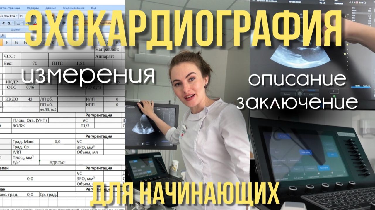 Эхокардиография ДЛЯ НАЧИНАЮЩИХ. Делаем измерения, пишем описание и заключение