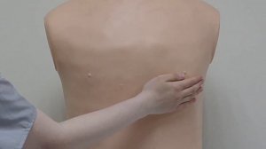 Определение относительных границ сердца (аккредитация)