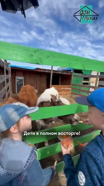 ☺️ Экскурсия на ферму «Алмаз» в Комсомольске-на-Амуре смотреть онлайн