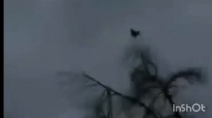 пов:ты летишь в небо в чг