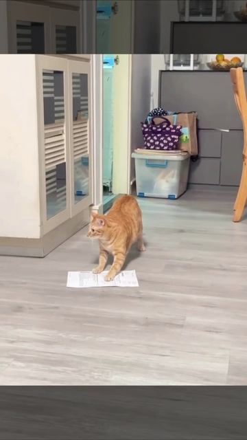 Координаты получены смотреть онлайн