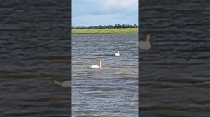 вечер в деревне у речки