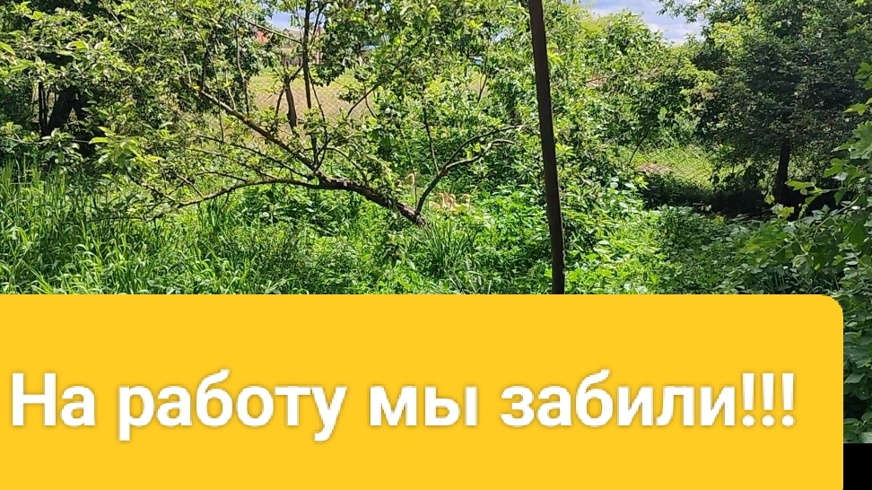 Всех с праздником🌹Едем в гости.Обход хозяйства. Жизнь станичная на пенсии смотреть онлайн
