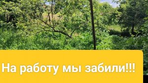 Всех с праздником🌹Едем в гости.Обход хозяйства. Жизнь станичная на пенсии