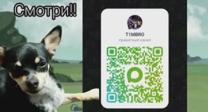 Max канал T1MBRO