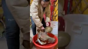 Монгольские деликатесы! Голова быка! #еда #кулинария #монголия