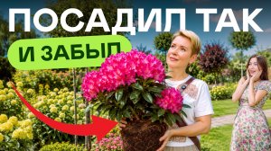 Главные ошибки тех кто начинает сад и секреты сада без ухода! Таша Муляр в Экопланте