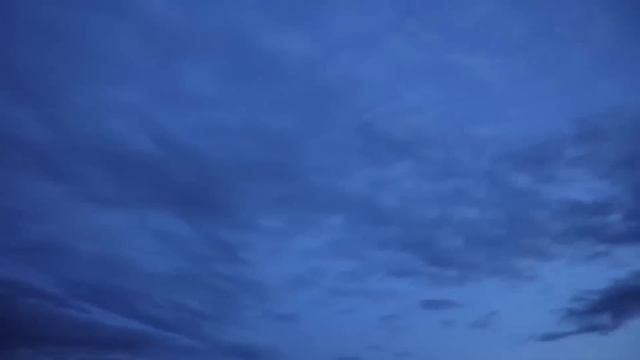 Мы провели 24 часа в Зоне 51 Мистер Бист