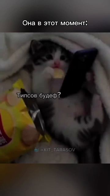 🐳 Она в любой момент ... #kit_tarasov