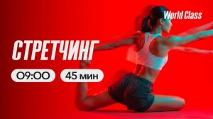 СТРЕТЧИНГ с Анастасией Филипьевой | 1 июня 2026 | Онлайн-тренировки World Class