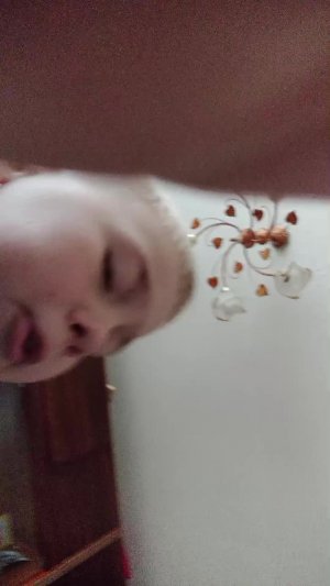 Эфир Чикен ган